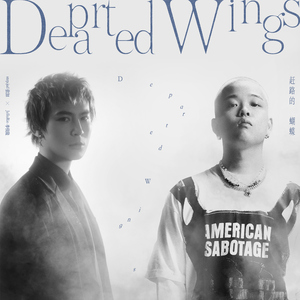 男人JJ插女人视频
