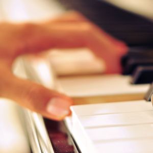 男人JJ插女人视频
