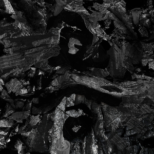 男人JJ插女人视频
