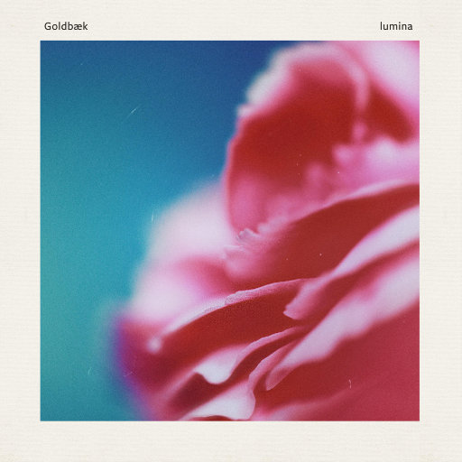 男人JJ插女人视频
